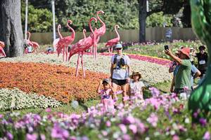 BIB: 
                            <button type="button" onclick="openModal(27794086)" class="btn btn-primary btn-sm float-right btn-popup" data-toggle="modal" data-target=".modal-high-quality">
                        <i class="fas fa-shopping-cart"></i> Add to Cart
                    </button>
                                            <button type="button" onclick="isThisMe(27794086, true)" class="btn btn-success btn-sm float-right btn-popup btn-isme hidden" data-toggle="tooltip" data-placement="bottom" title="นี่คือรูปของคุณใช่ไหม คลิกที่นี่เพื่อเอาเข้าอัลบั้ม">
                        <i class="fas fa-plus"></i> Add to album
                    </button>
                    <button type="button" onclick="isThisMe(27794086, false)" class="btn btn-warning btn-sm float-right btn-popup btn-isnotme hidden">
                        <i class="fas fa-ban"></i> Remove from album
                    </button>